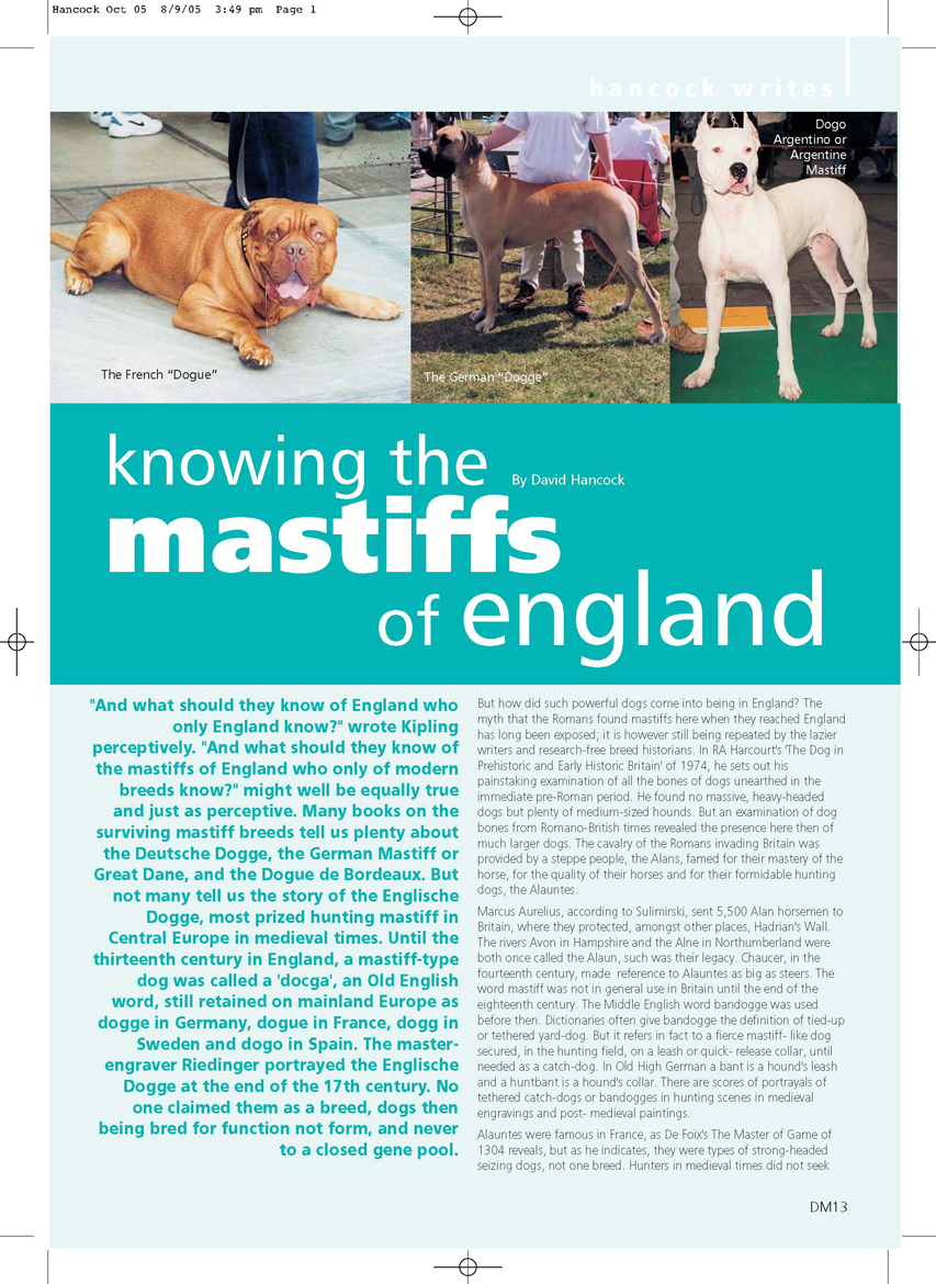 Link to Article - Mastiffs of England
